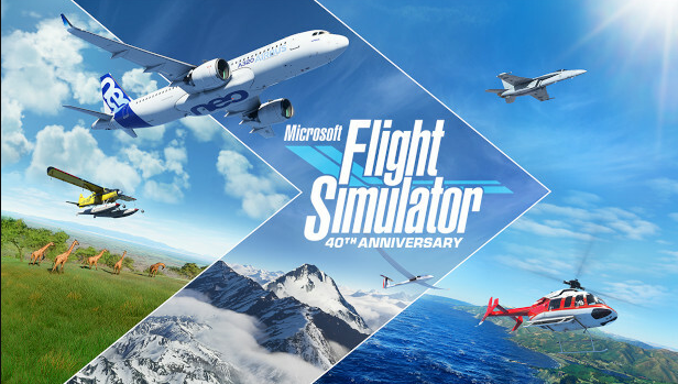 Microsoft Flight Simulator